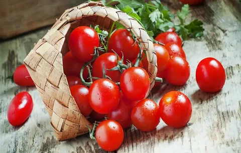 تصویر 3 از گوجه‌ فرنگی صادراتی مخصوص مغازه‌ داران با شرایط استثنایی